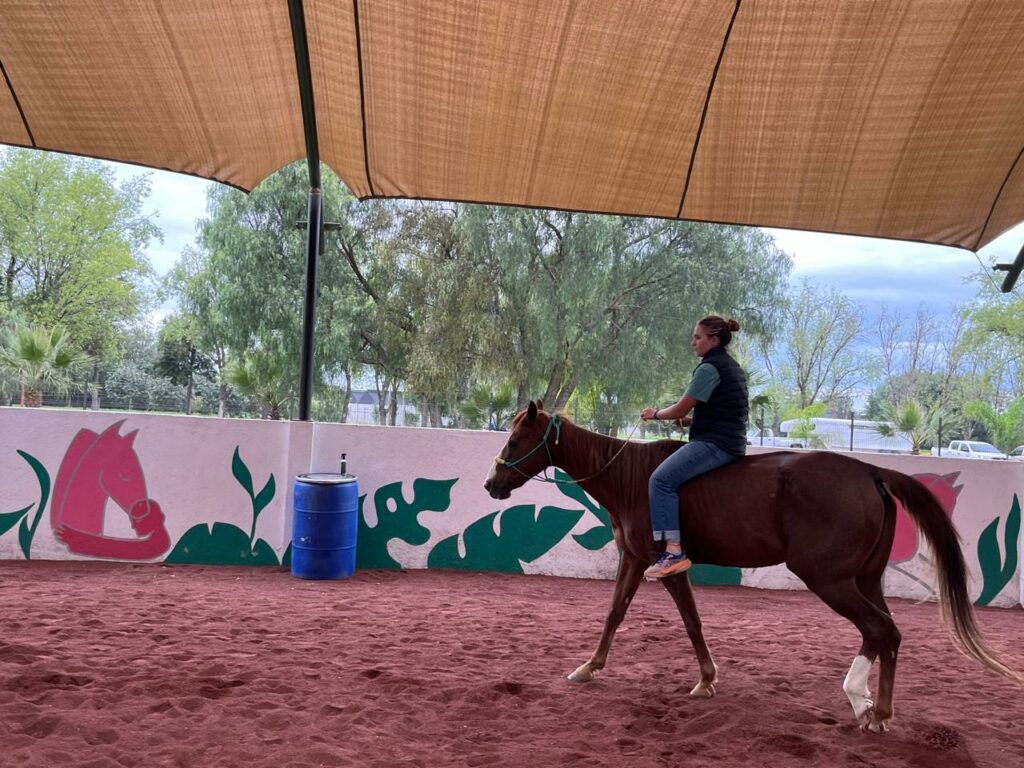 Donan yegua exjugadora de polo al Santuario Animal de Sierra Hermosa