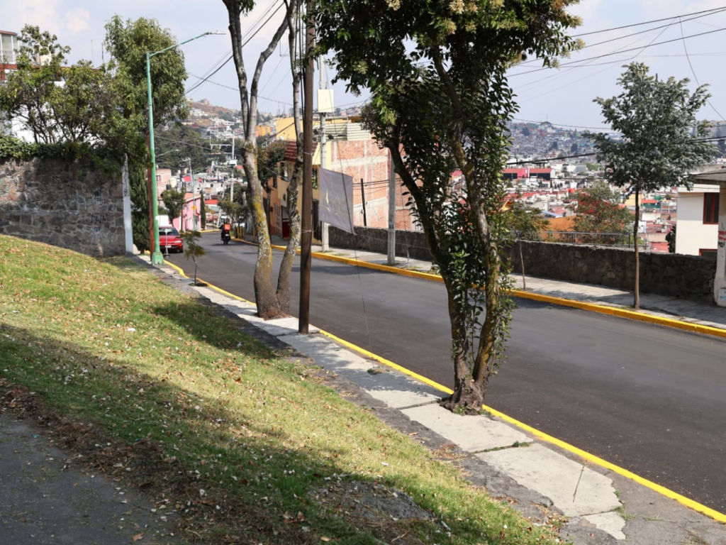 Anuncia Ricardo Moreno la campaña de adopción de árboles más grande del país