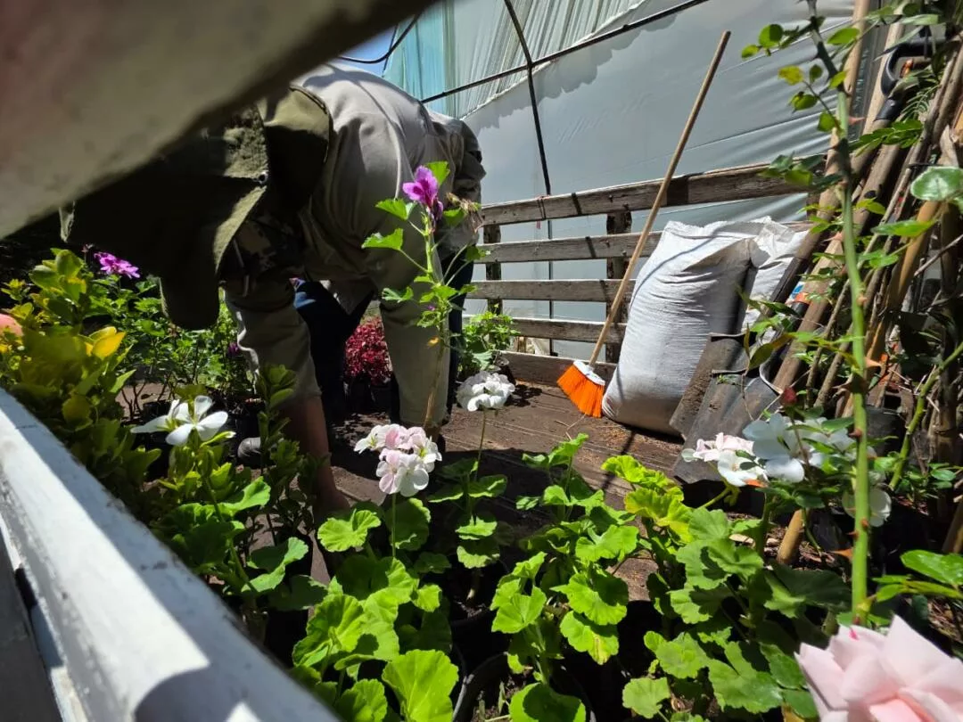 Impulsa Toluca la instalación de 100 jardines polinizadores