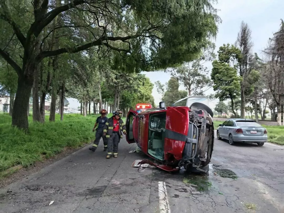 Elementos de Protección Civil y Bomberos atienden caída de árbol sobre vehículo en la Toluca–Palmillas