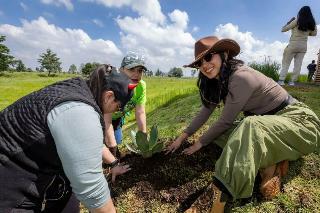 UAEMéx, GEM y Ayuntamiento de Toluca impulsan restauración ecosistémica con la siembra de mil 500 magueyes