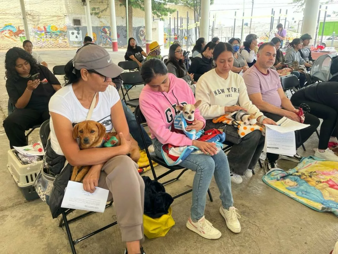 Rosi Wong consolida estrategia de bienestar animal con esterilizaciones gratuitas en lo que va del 2026