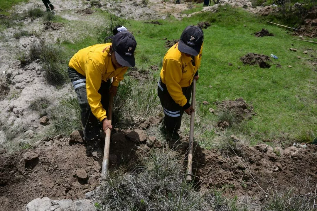 Arranca en Edomex Campaña de Restauración Hidrológico-Forestal 2026