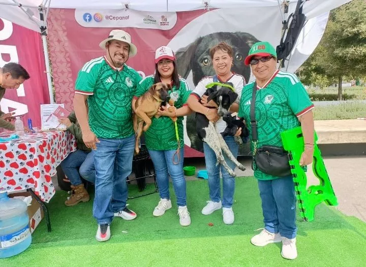 ¡Goleada de amor! 13 lomitos encuentran hogar mediante la estrategia “La Mejor Jugada es Adoptar”