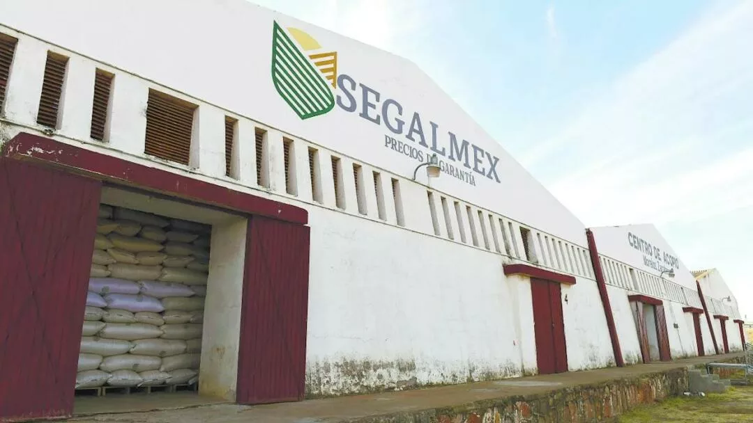 Inhabilitan a exfuncionarios de Segalmex por irregularidades