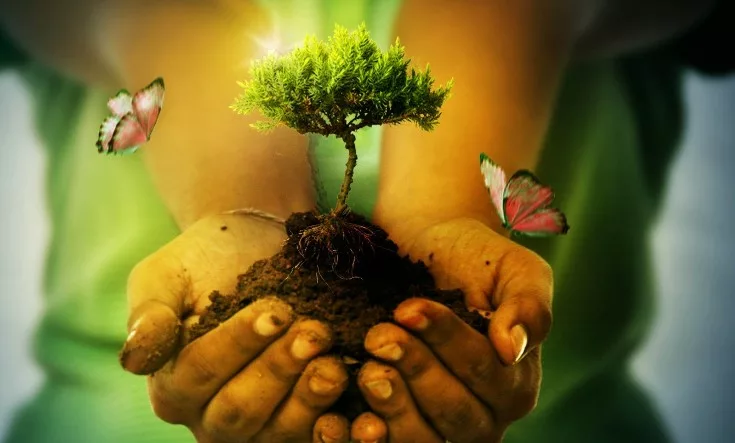La Madre Naturaleza: su influencia en la Tierra y el equilibrio del planeta