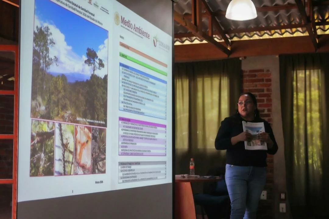 Atiende Edomex más de mil 600 hectáreas de bosque contra plagas forestales