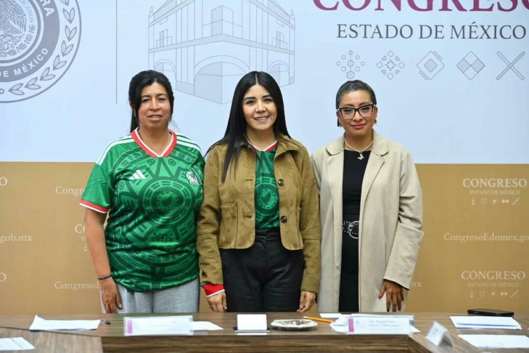 Analizan en el Congreso sancionar uso de drones en diversos delitos