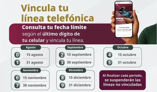 Definen fechas para vincular líneas según último dígito