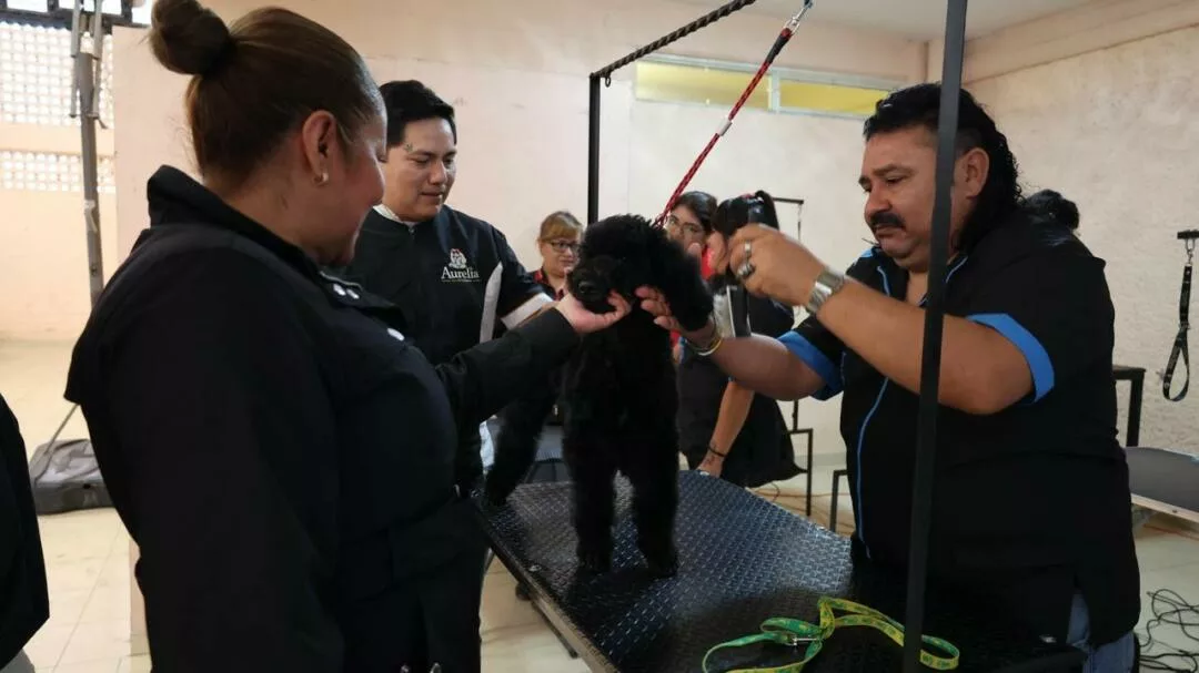 Rosi Wong acerca servicios de salud y asistencia social a Santa María Ozumbilla