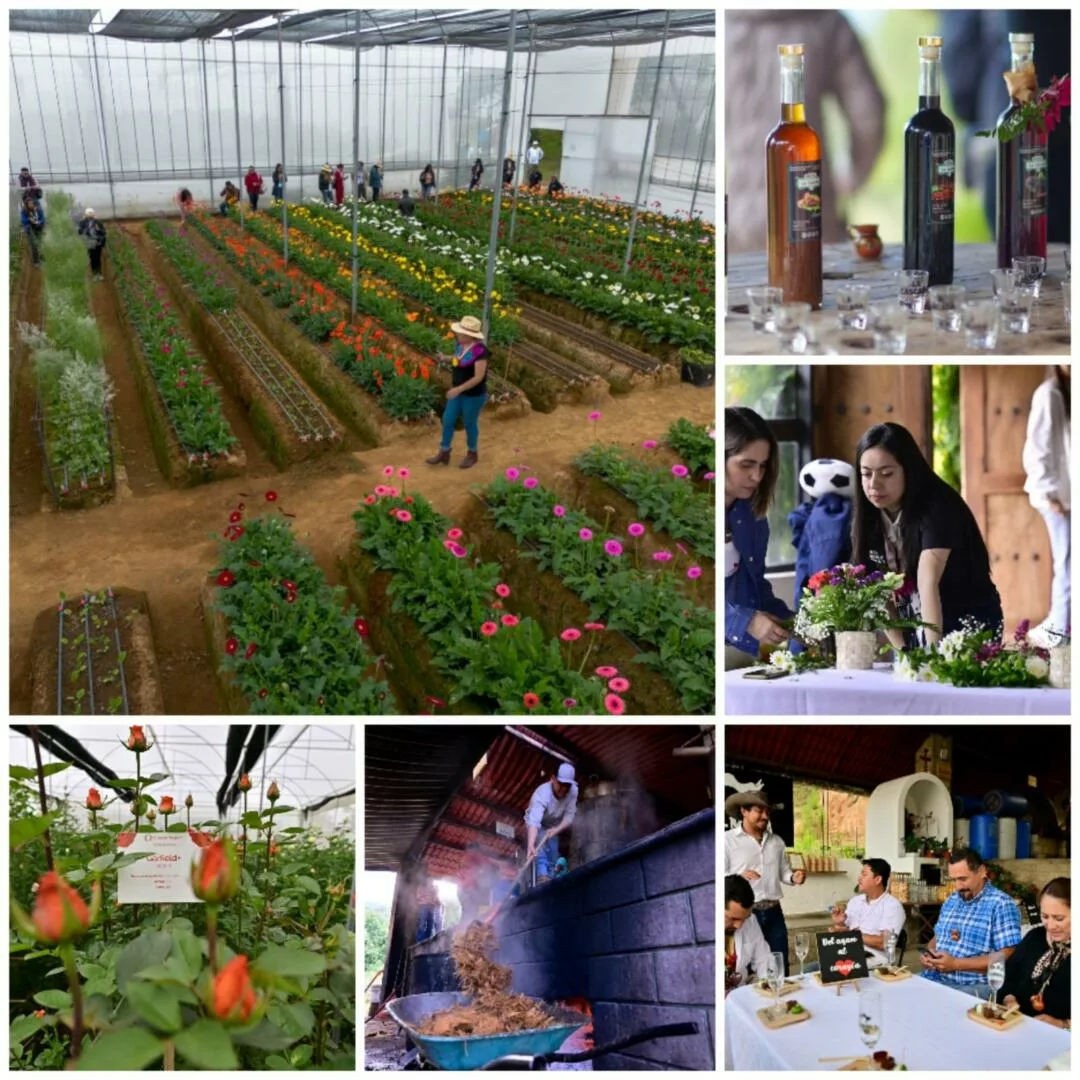 Arrancan rutas turísticas del mezcal y la flor en el Edomex