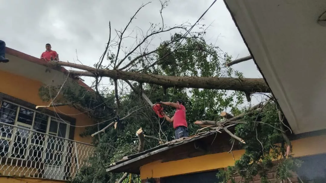 Bomberos y Protección Civil atienden incendio y caída de árbol en Toluca