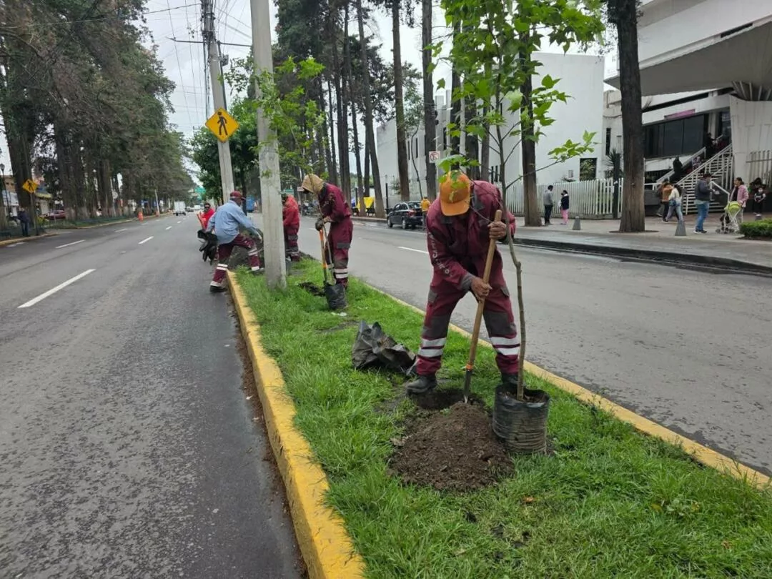 Avanza rescate integral de Paseo Colón; concluirá el próximo 17 de julio