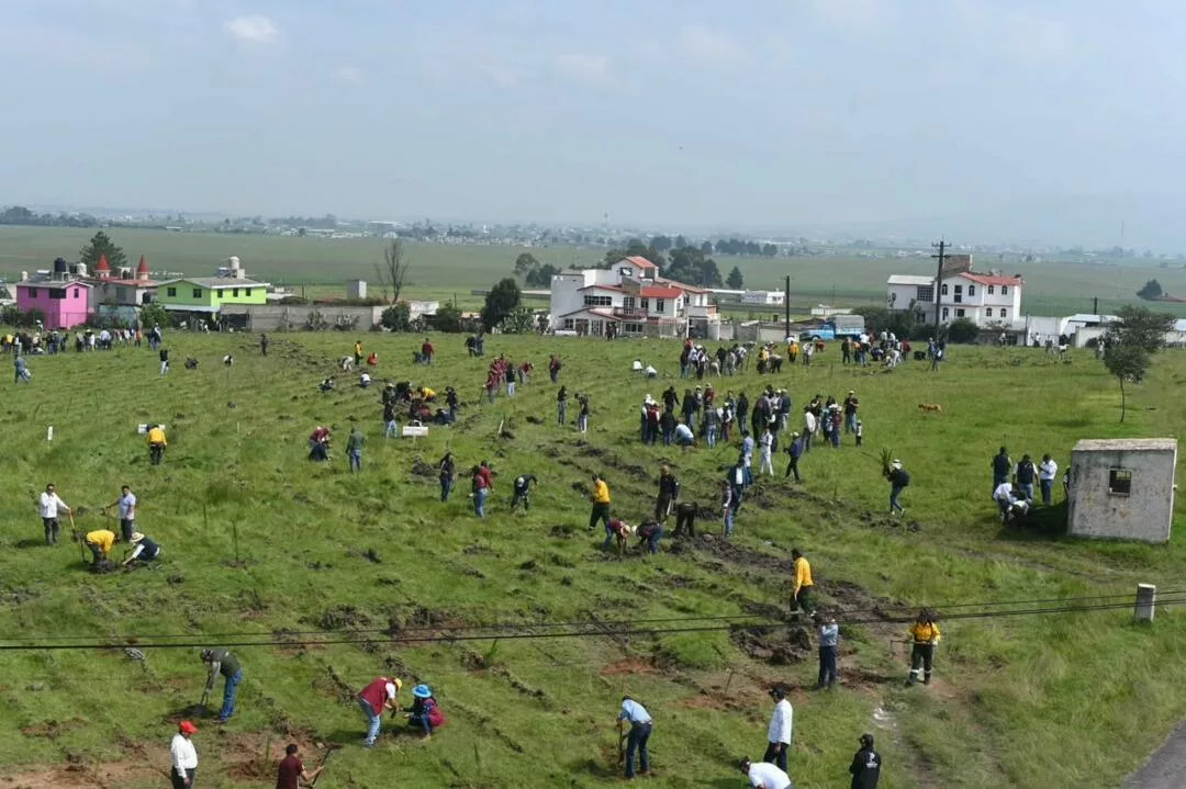 Juventud y núcleos agrarios se unen para rescatar los bosques mexiquenses