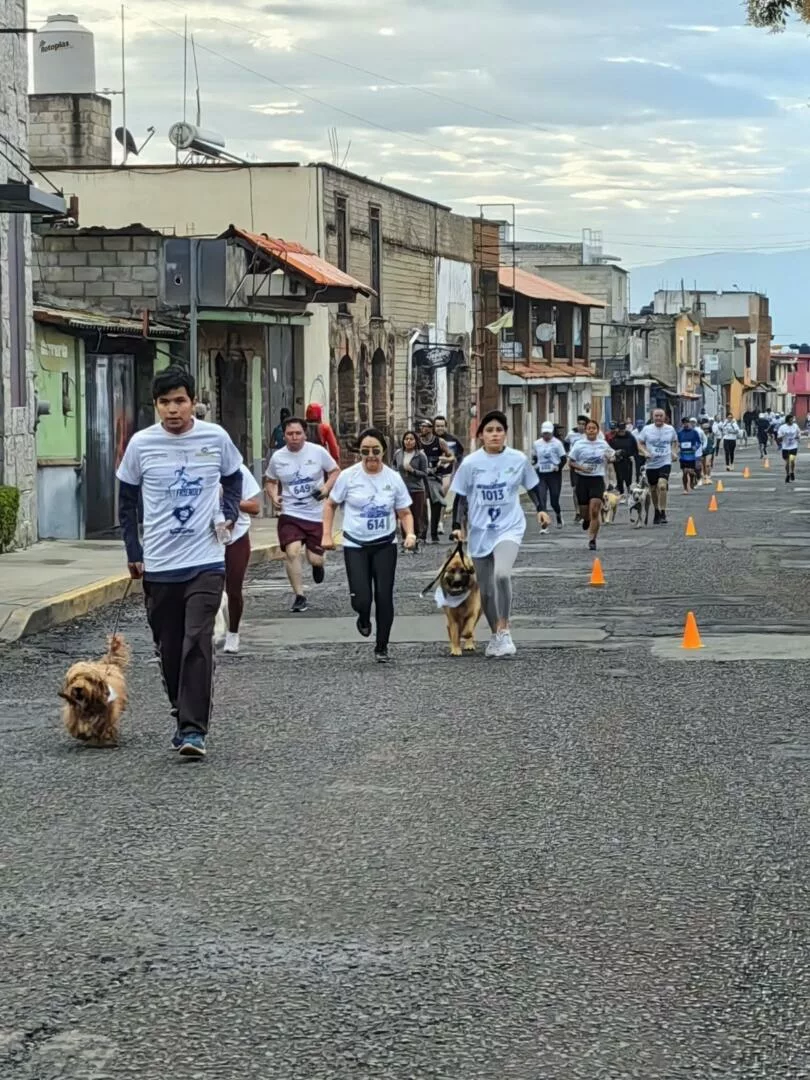 Metepec anuncia su Cuarta Carrera Pet Friendly 2026