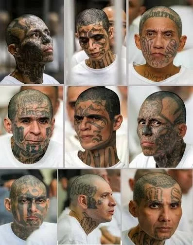 El Salvador pone fin al juicio masivo contra cabecillas de la MS-13
