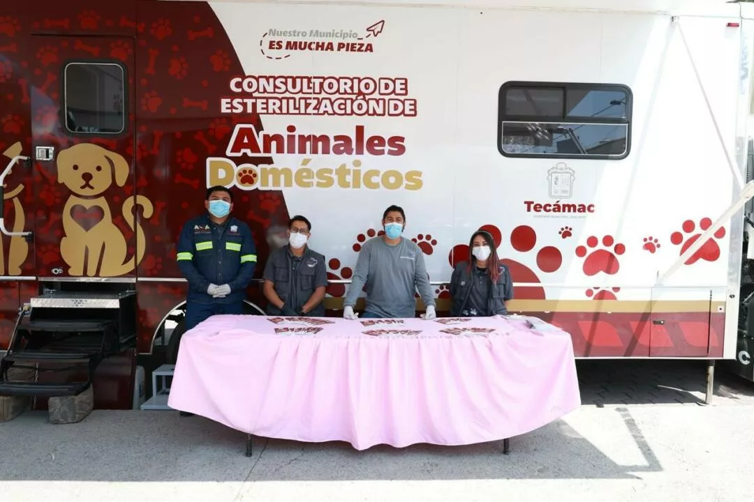 Gobierno de Tecámac realiza jornadas permanentes de esterilización