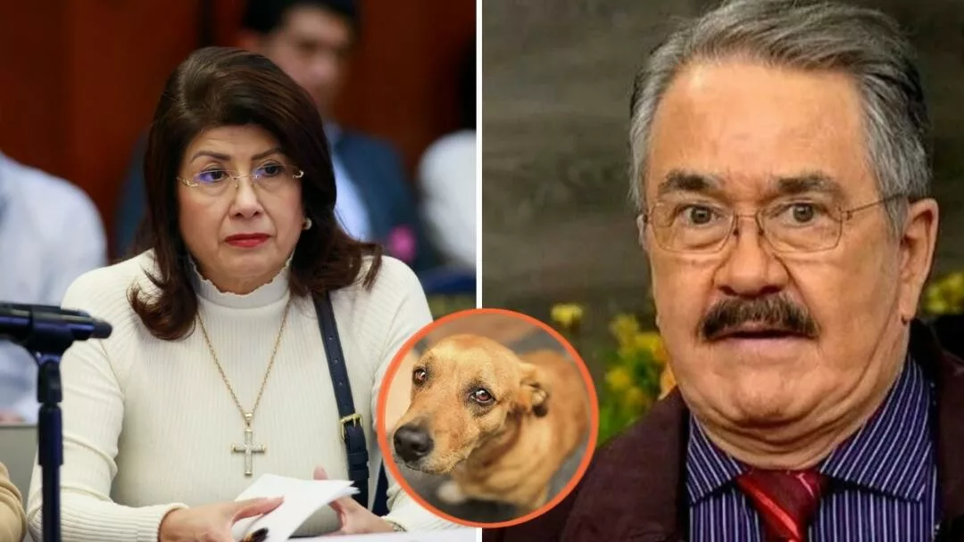 Comediante ‘El Costeño’ reclama que no haya consecuencias contra senadora Mariela Gutiérrez por el sacrificio de más de 10,000 perros