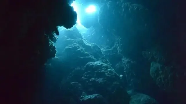 Lo más profundo del océano: un mundo de oscuridad que aún guarda grandes misterios