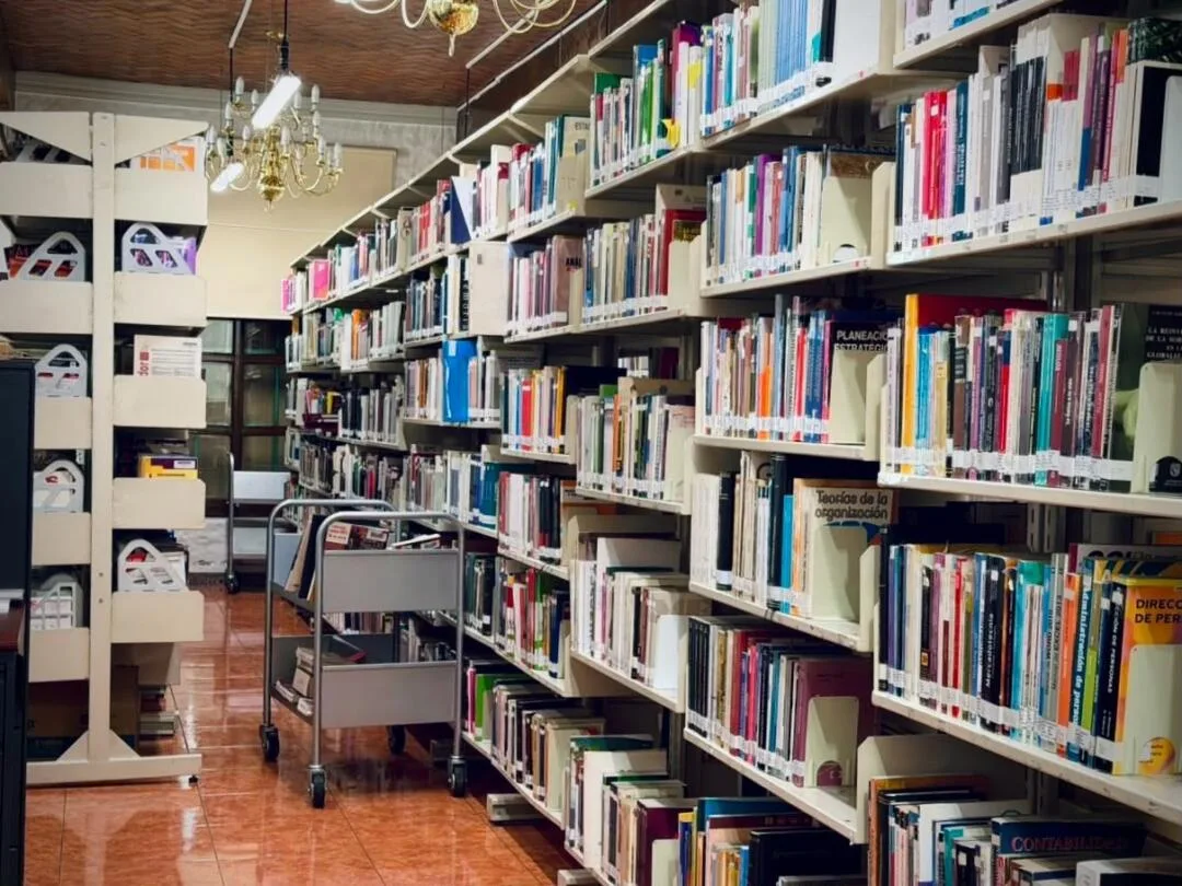 Este verano, descubre, consulta e investiga en la biblioteca del IEEM