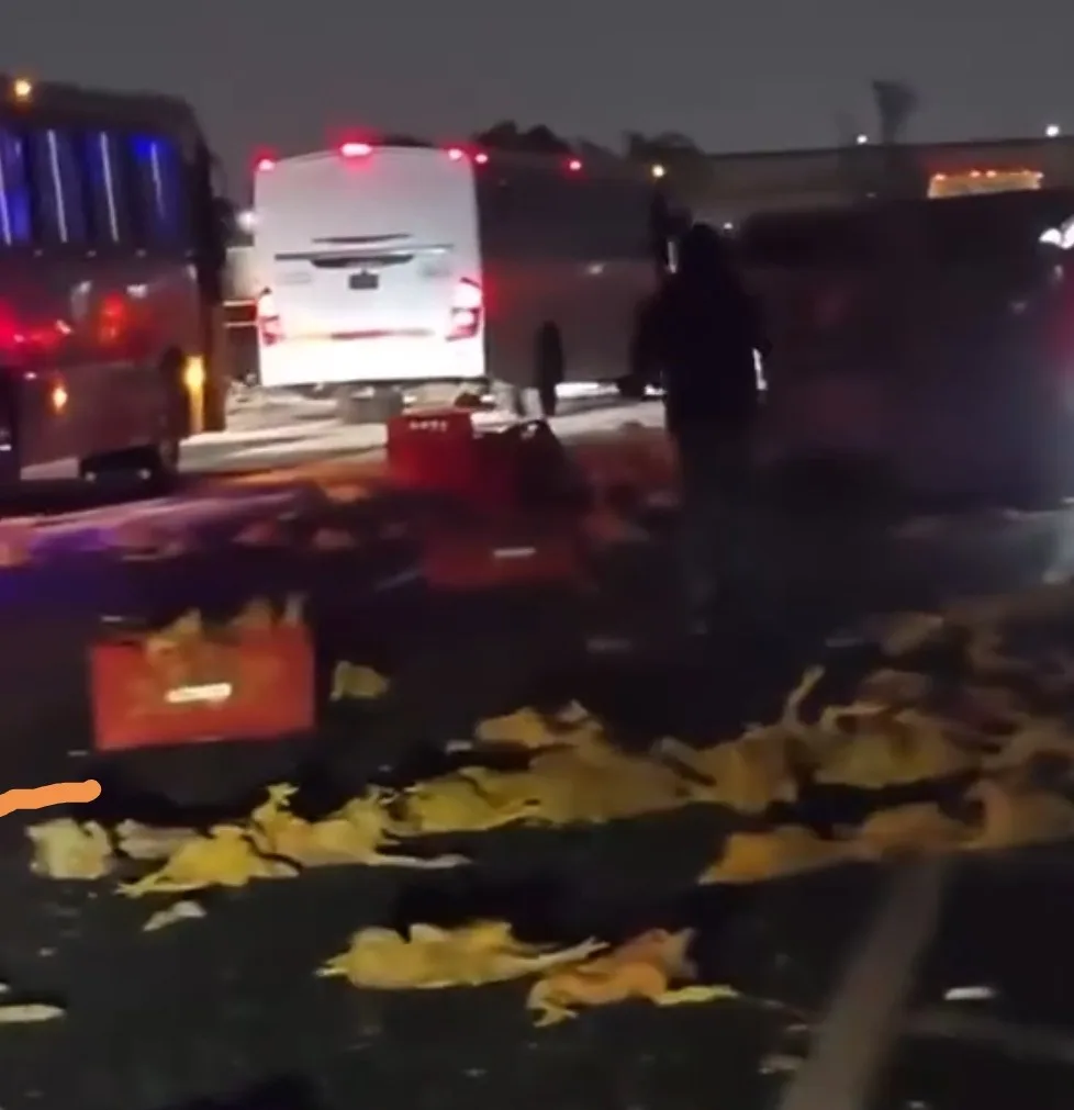 Doble volcadura en la México-Pachuca deja toneladas de pollo y queso sobre la carpeta asfáltica en Tecámac