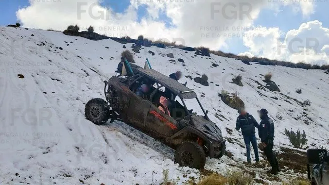 FGR lleva ante un juez de control a una persona por dañar la flora silvestre del Nevado de Toluca