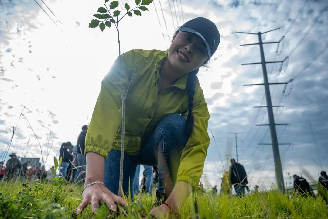 Toluca avanza hacia su meta ambiental: suman más de 73 mil árboles plantados en 2026