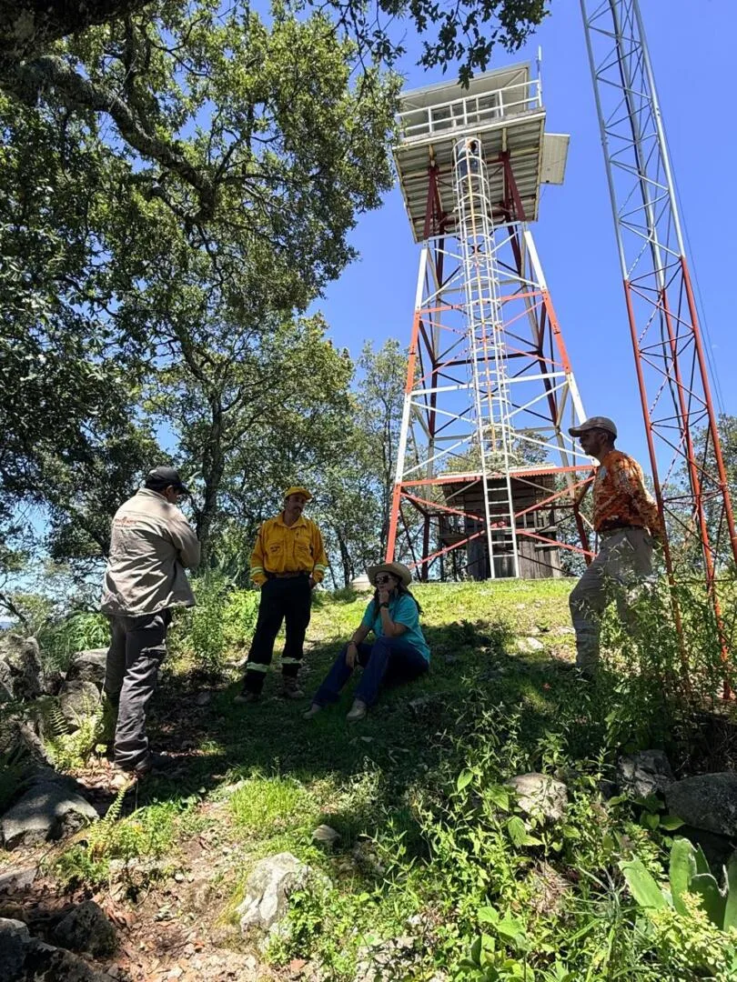 Equipan e instalan riego en viveros y torres forestales de Tlatlaya, Luvianos, Tejupilco y Sultepec