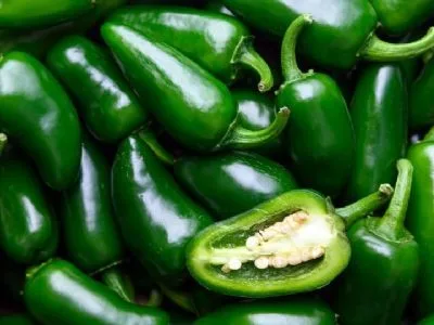 Salmonella en México: autoridades refuerzan vigilancia sanitaria tras brote vinculado a jalapeños