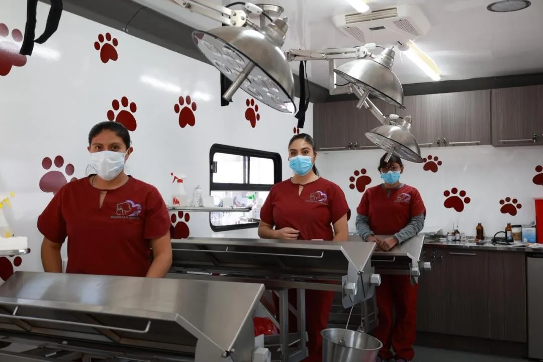 Refuerza Tecámac campañas de esterilización de perros y gatos
