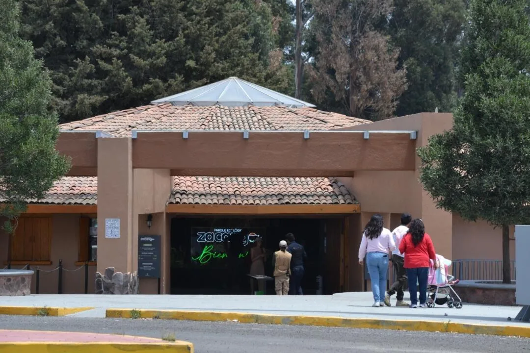 Lobo Gris y Cóndor de California: esfuerzos clave de conservación de la Cepanaf a 48 años de su creación