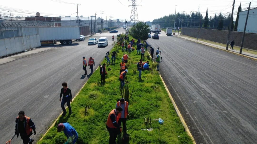 Fortalece Ricardo Moreno acciones de arborización para mitigar islas de calor urbanas