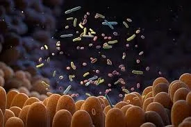 Microbios humanos podrían sobrevivir en el polo sur de la Luna, revela la NASA