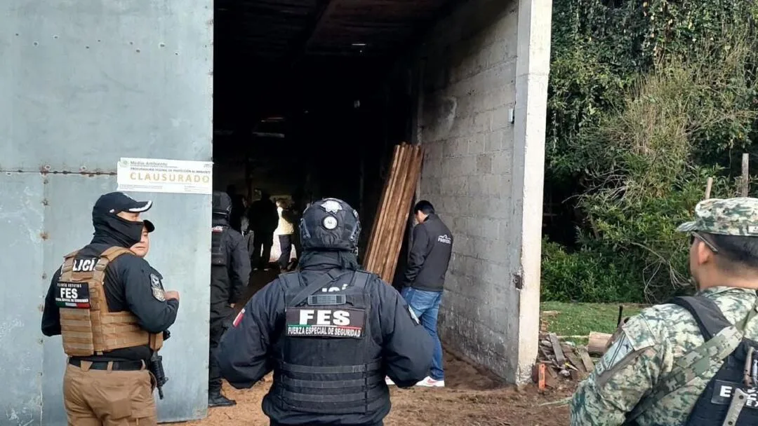 Aseguran centro de almacenamiento ilegal de madera en Ocuilan