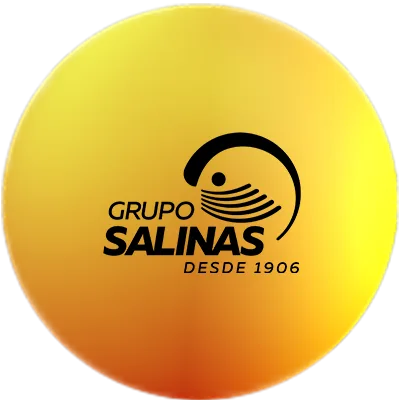 Empresas de Salinas Pliego reportan pagos millonarios al fisco
