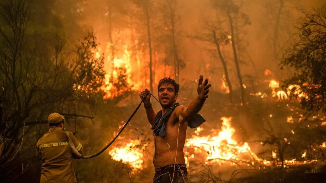 ¡Argelia en llamas! Incendios forestales dejan muertos y decenas de heridos