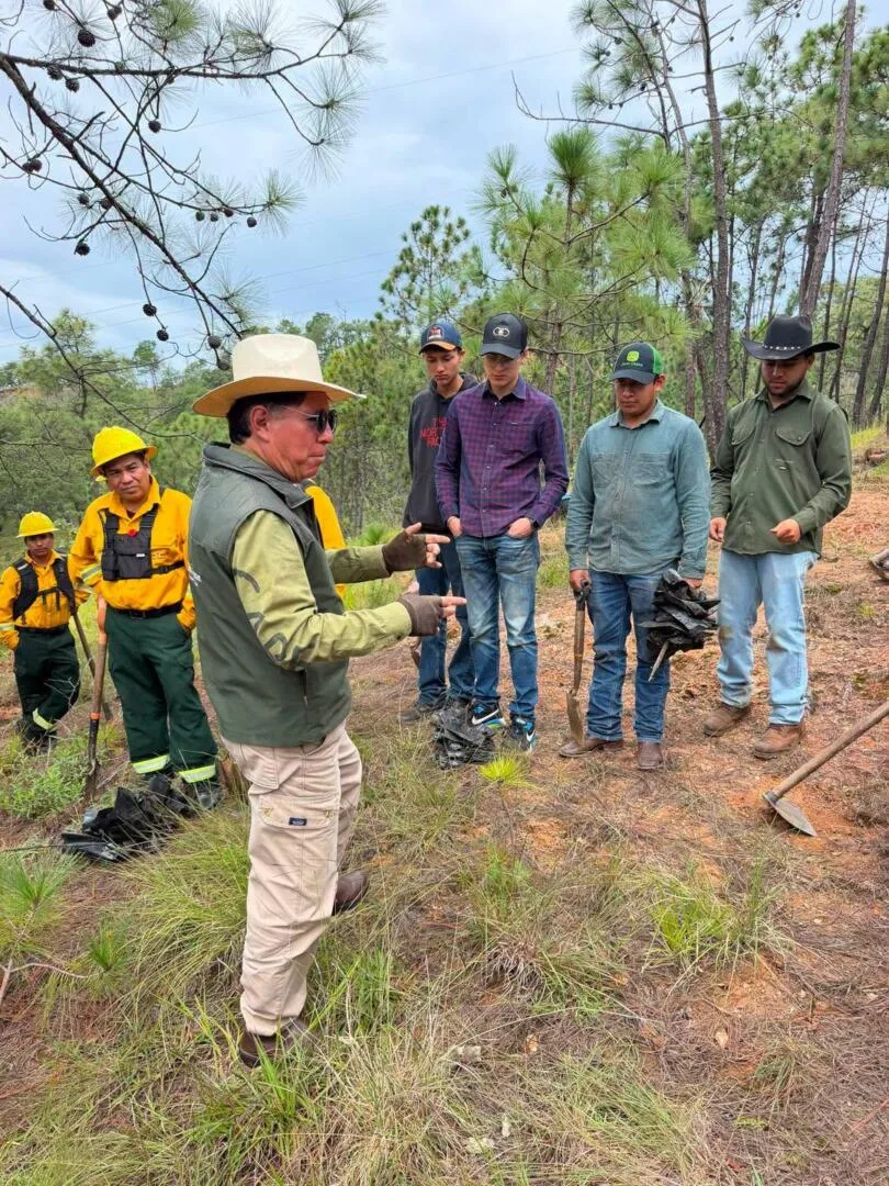 Siembran mil encinos para restaurar ecosistema forestal en Temascaltepec
