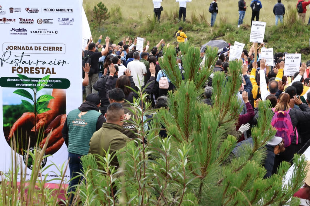 De la zona industrial al Nevado: Toluca frena islas de calor con histórica reforestación