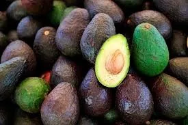 Se detienen embarques de aguacate a EE. UU. por suspensión de inspecciones