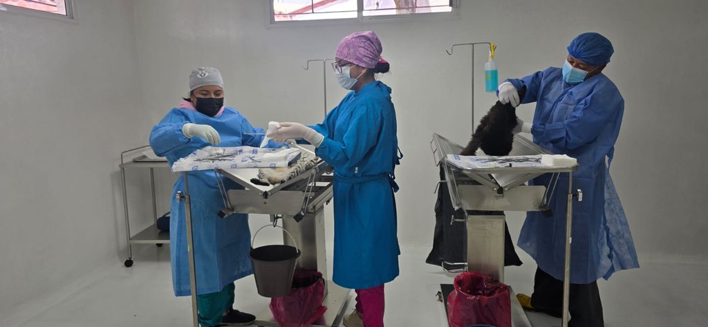 Más de 2 mil esterilizaciones suma la Extensión Norte del Centro de Bienestar Animal en Toluca