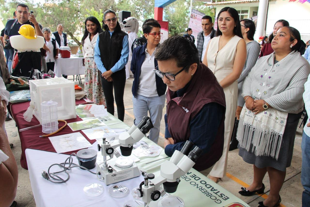 Cercan al mosquito transmisor de dengue en la región sur del Estado de México