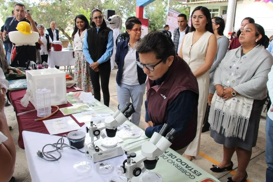 Cercan al mosquito transmisor de dengue en la región sur del Estado de México