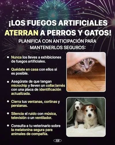 Pirotecnia altera la sensibilidad de los perros y puede provocarles ansiedad