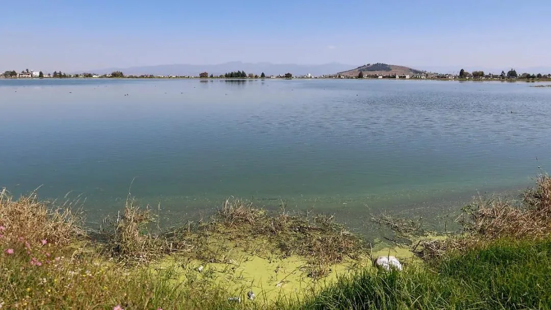Entró dos veces al agua y no salió: buscan a joven en el Bordo de San Jerónimo en San Pablo Autopan