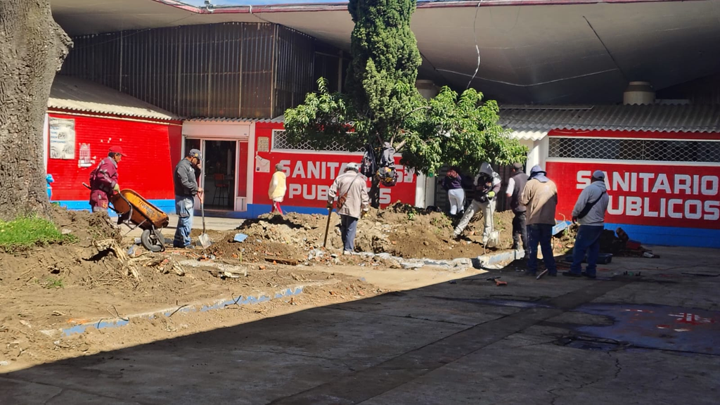 Rescatan áreas verdes del Mercado Juárez: eliminan plagas y cuidan el arbolado