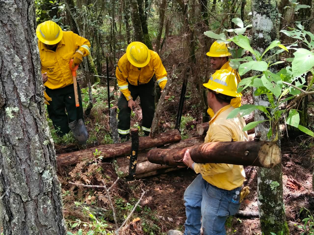 Probosque activa a sus brigadas antiincendios en las nueve regiones del Edomex