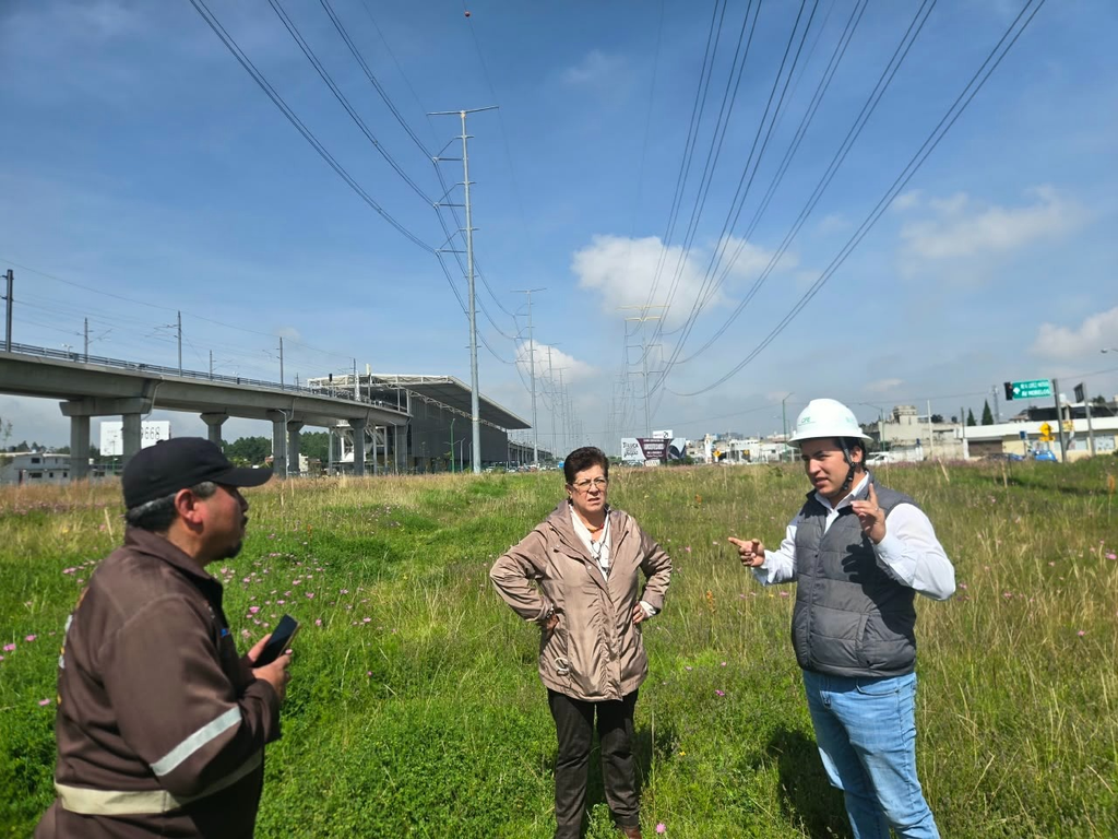 Supervisan Toluca y CFE plantaciones recientes de árboles en vialidad las Torres