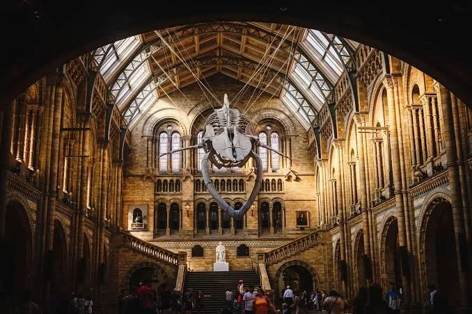 Museos nacionales de Inglaterra mantendrán entrada gratuita para todos