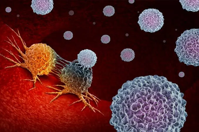 Las células que desafían al cuerpo: así nace y se propaga el cáncer