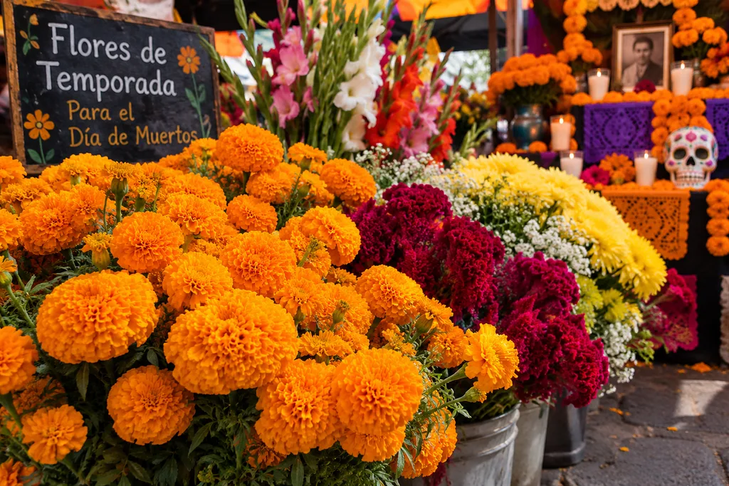Flores de temporada llenarán calles y avenidas en el Edomex